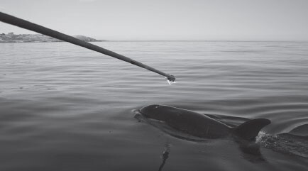 z-Scientists-take-a-breath-sample-from-Scarlet-Everyone-worked-hard-to-save-her-Sadly-it-wasn-t-m