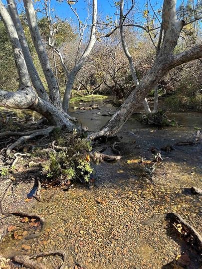 Penasquitos Creek