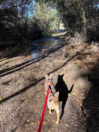 Los Penasquitos Canyon Trail