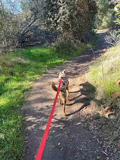 Los Penasquitos Canyon Trail