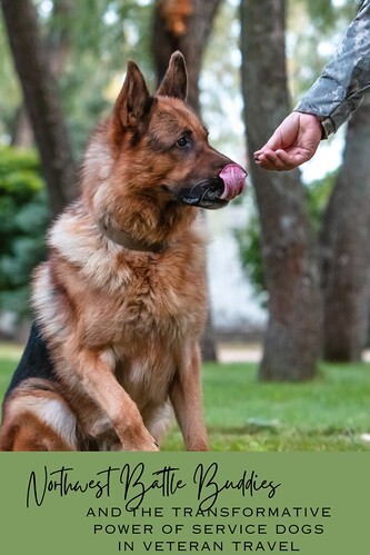 Northwest Battle Buddies and the Transformative Power of Service Dogs in Veteran Travel