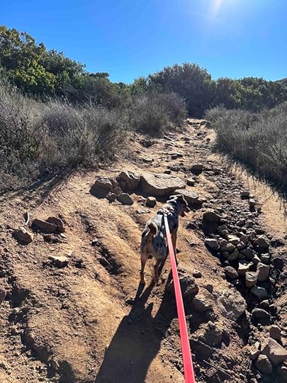 uphill climb at Kwaay Paay Peak Trail