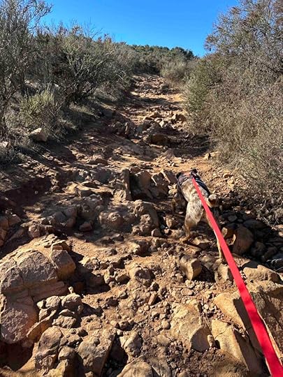 more uphill at Kwaay Paay Peak Trail