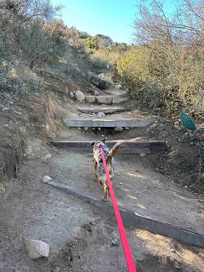 steps at Kwaay Paay Peak Trail