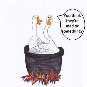 grumpy geese cartoon