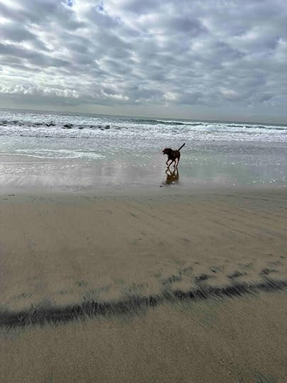 playing on the beach
