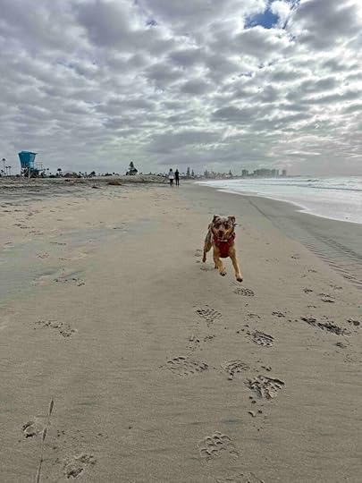 playing on the beach