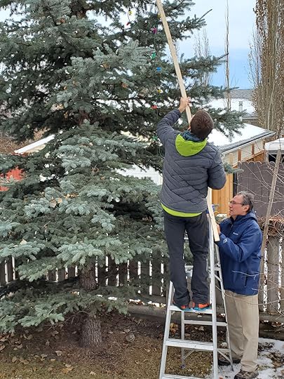decorating the backyard tree