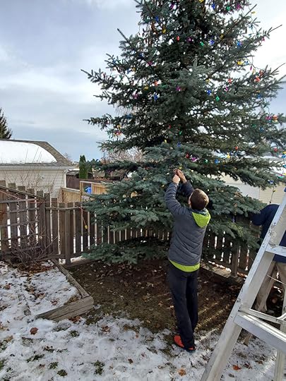 decorating the backyard tree