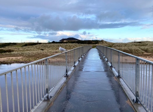 gull on foot bridge over the River Ugie