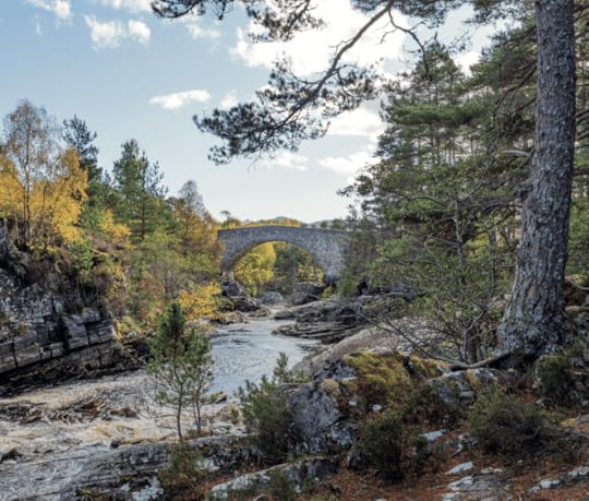 168 Little Garve, featured in The Forest Guide: Scotland