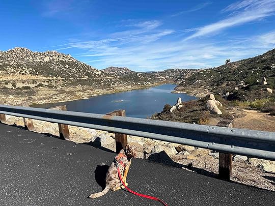 Blue Sky Ecological Reserve - Lake Ramona Trail