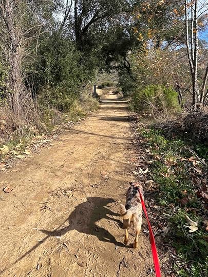 on the Lake Ramona Trail