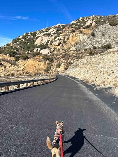down the Lake Ramona trail