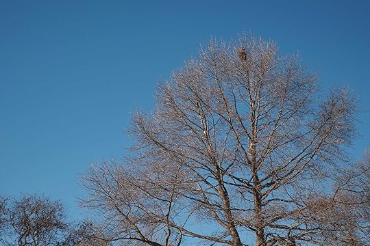 #413: My Daily Routine, January 2024