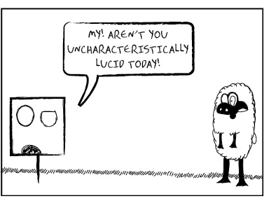 Mr. Square
