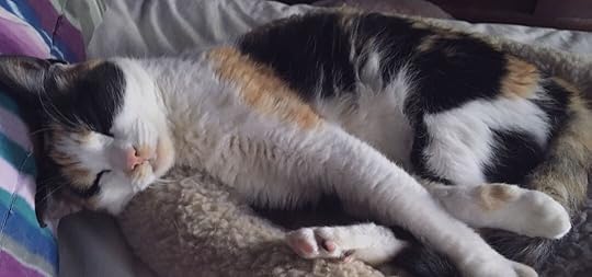 Bipolar can give you useless days. I'm learning to forgive myself for being useless because of bipolar disorder sometimes.