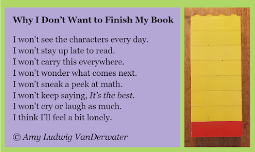 Amy Ludwig VanDerwater's Blog