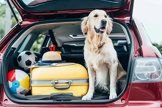 Traveling with your dog on a road trip