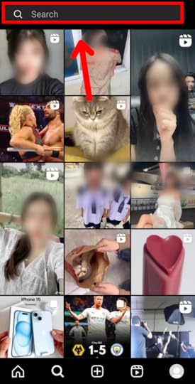 Instagram Search bar