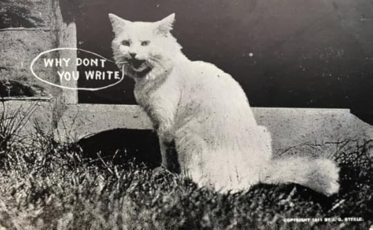 High contrast black and white photo of a medium haired white cat with its mouth open, meowing at the camera. A hand drawn white speech bubble extends from its mouth with the words “WHY DON’T YOU WRITE” written in it.