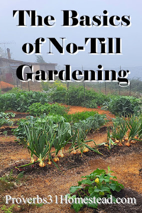 The Basics of No Till Gardening