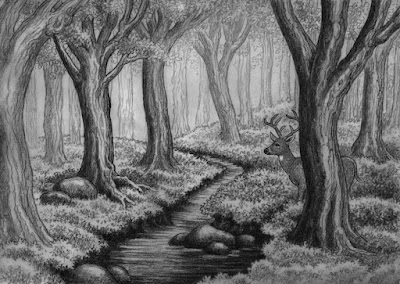 A heavily wooded forest with a stream running through the middle and a partially obscured buck behind a tree. All illustrations are in black and white.