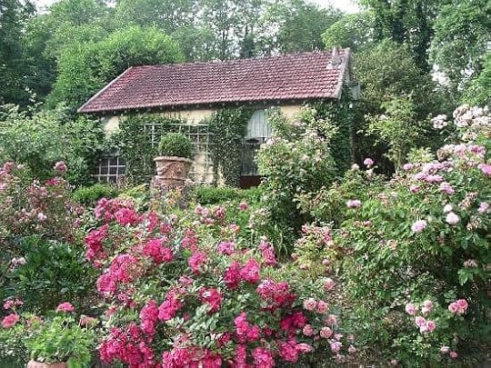 Flowers in Monet's Garden in Giverny, France.