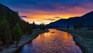 How to write a synopsis | river