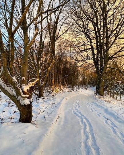 snow days in scotland