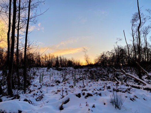 blue skies on a snow day