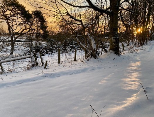 sun on a snow day