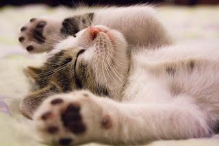 It's been a hard day.