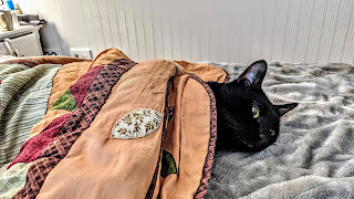 Panzer says, Now to get warm.