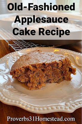 Old Fashioned Applesauce Cake Recipe