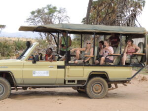 Lori Robinson Safaris
