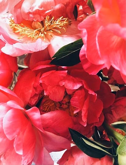 Let It Be Sunday, 451!