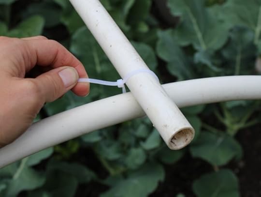 Using a zip tie to secure the cross piece and arch of the low tunnel structure.