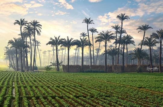 2b310e55f0f86df623f92528ab0b939a