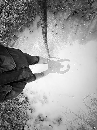 walking thumbstick and puddle