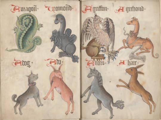 A dog with a spiked collar and a greyhound with a long leash