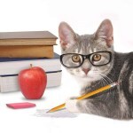 writing advice