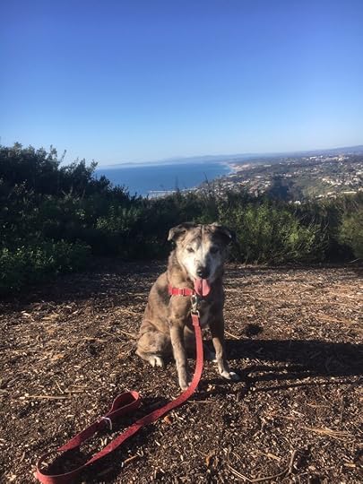 Karlie and the view of La Jolla