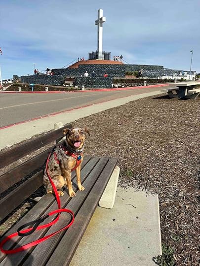 Sunny and the Mount Soledad memorial