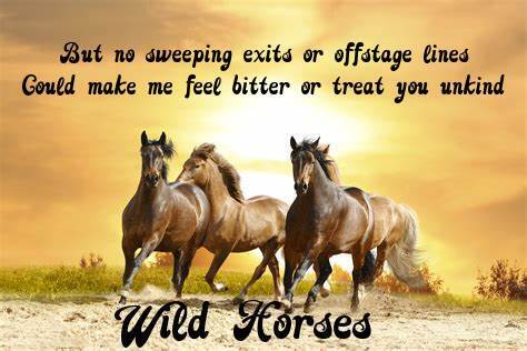 wildhorses