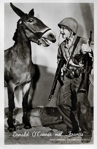 Donald O'Connor and Francis in Francis in the Navy (1955)