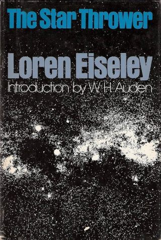 The Warblers and the Wonder of Being: Loren Eiseley on Contacting the Miraculous