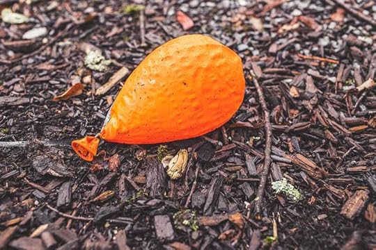 Purpose in Disappointment - Balloon