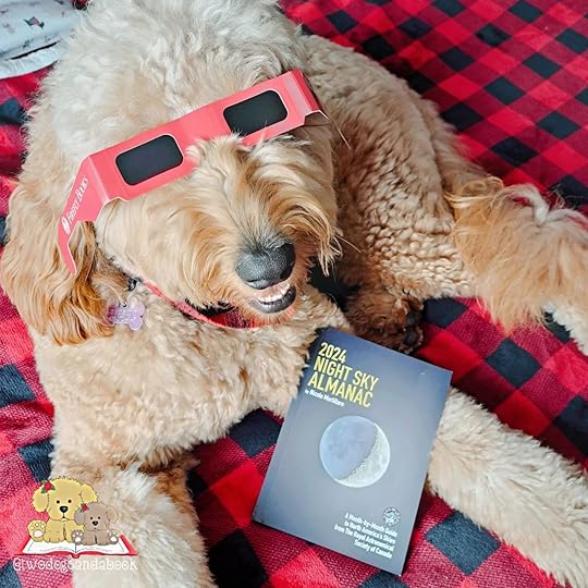 A Golden Doodle is lying on a bed with a pair of solar eclipse glasses on her face and a book on her left paw. The book is the 2024 Night Sky Almanac.