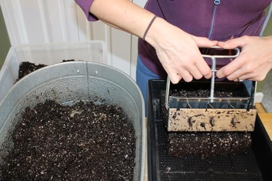 Soil and person using a soil blocker to start seeds